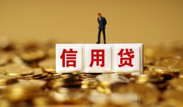 深圳大鹏新区哪里可以民间借贷-深圳大鹏新区私人借钱当天拿钱-深圳大鹏新区贷款联系电话