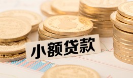 深圳大鹏新区哪里有小额贷款-深圳大鹏新区身份证贷款平台-深圳大鹏新区民间短借