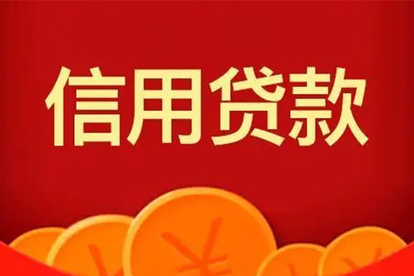 深圳大鹏新区借私借